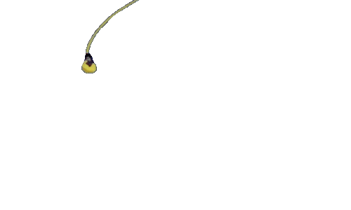 Cân đẩu vân