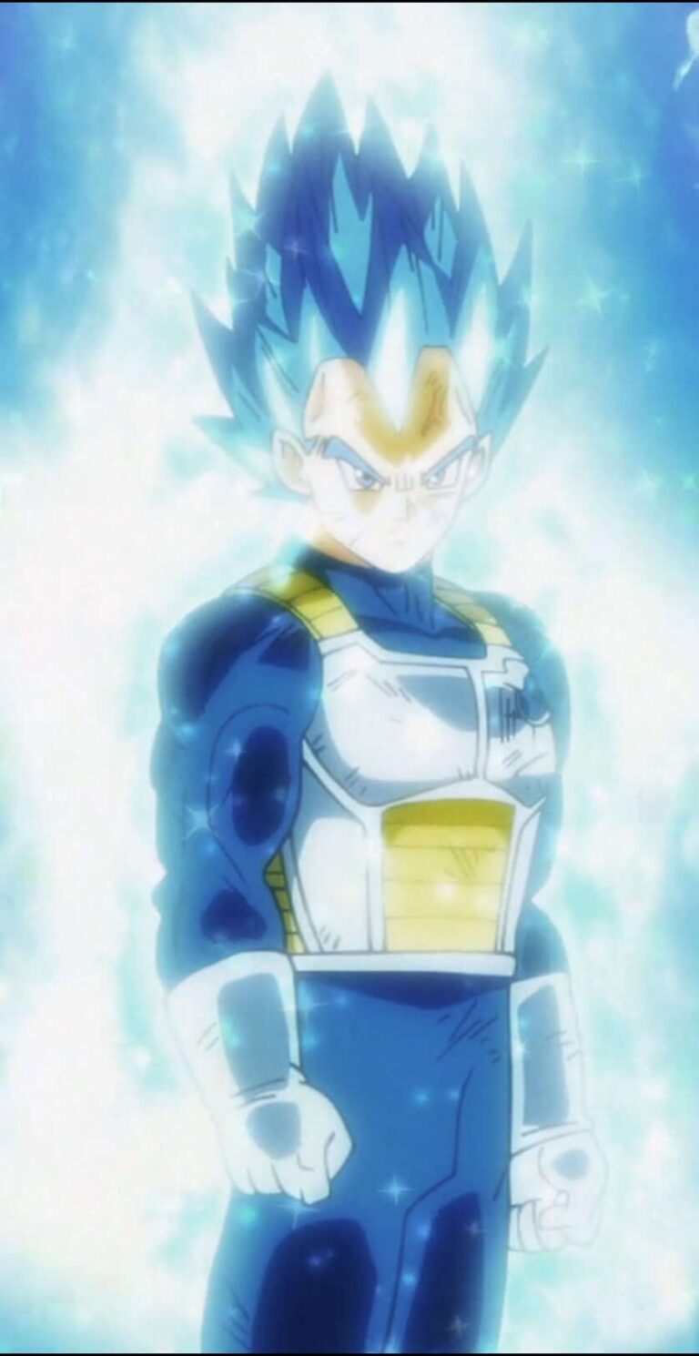 Super Saiyan God SS・Shinka