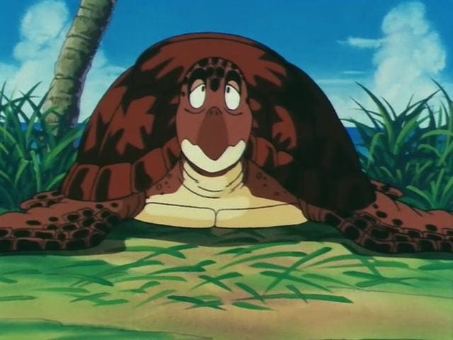 Turtle (con Rùa)